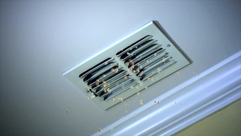 Best Affordable Duct Cleaning Services  in Apollo, PA