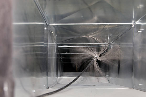 Best Air Duct Mold Removal  in Apollo, PA